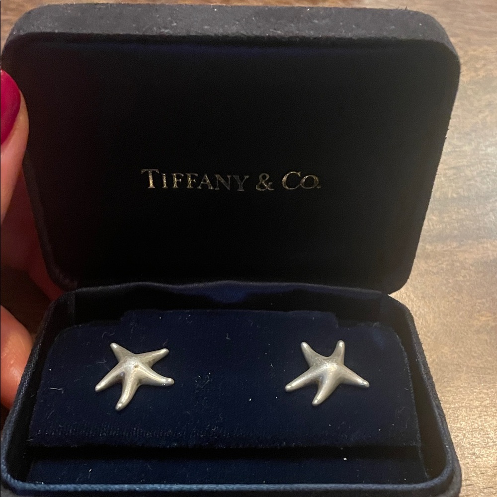 Tiffany & Co. Elsa Peretti Silver Earrings